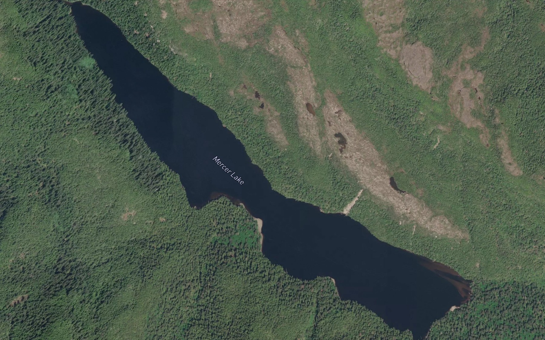Satellite map of the Mercer Lake