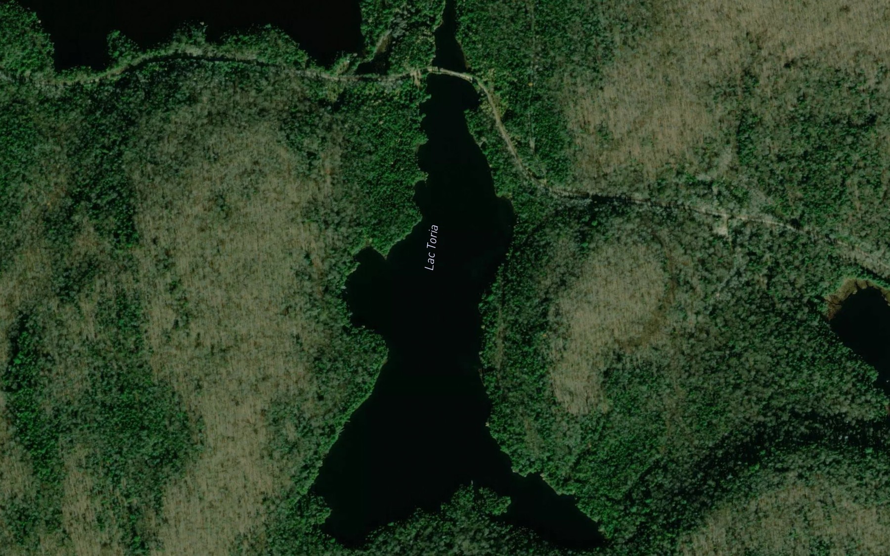 Satellite map of the Lac Toria