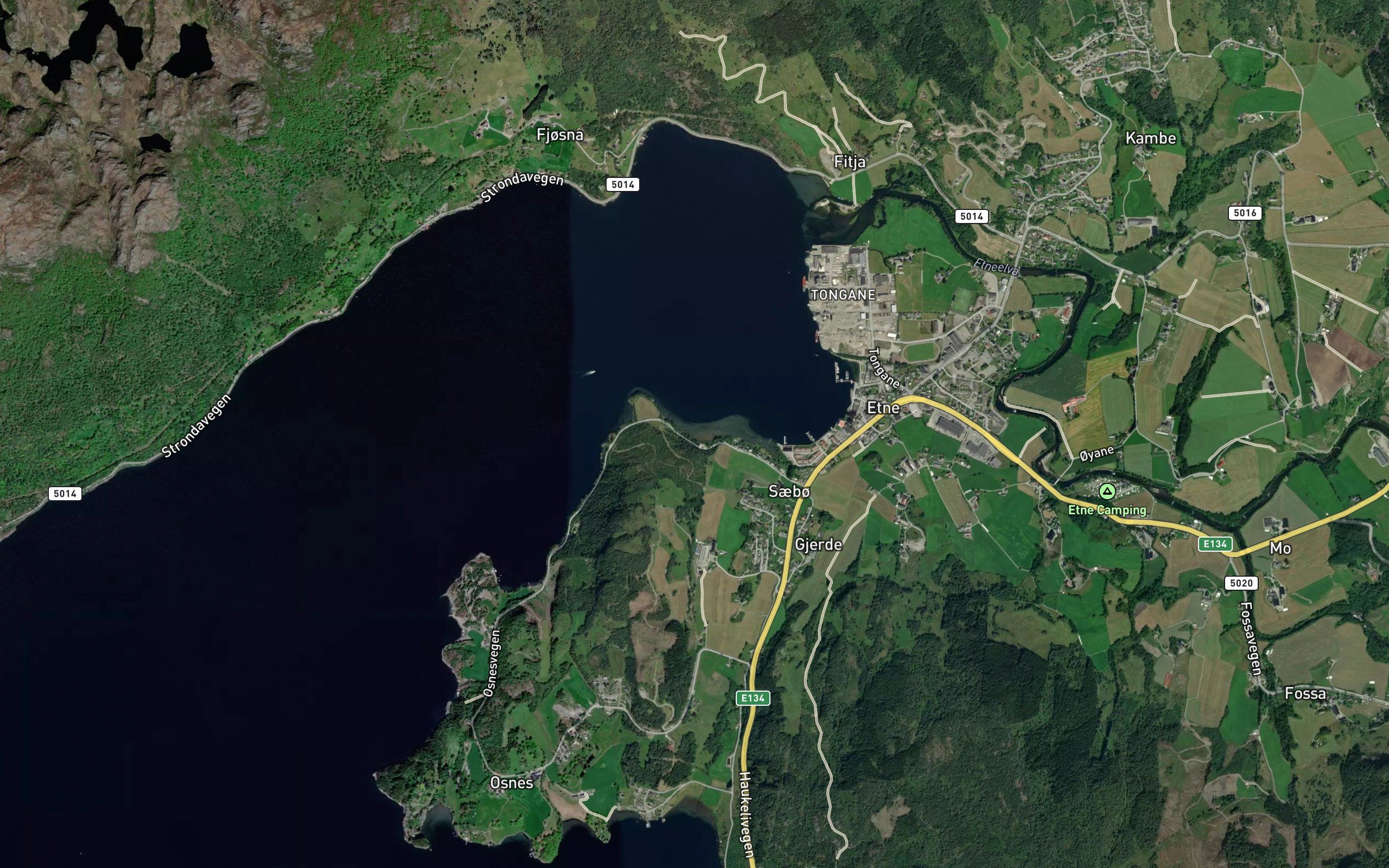 Bekkjavika