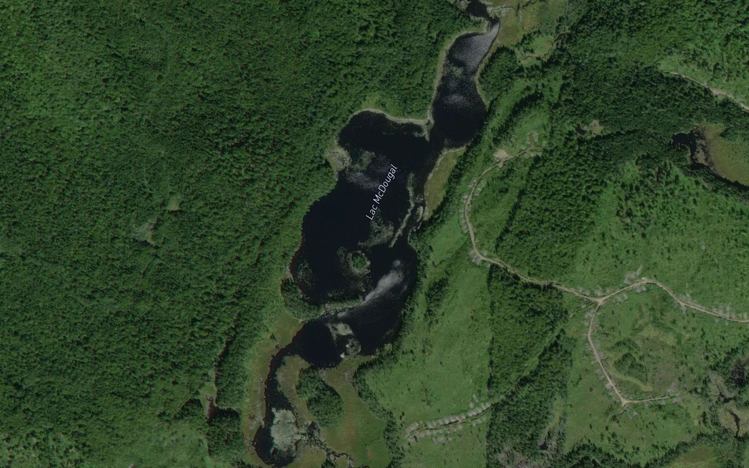 Lac McDougal