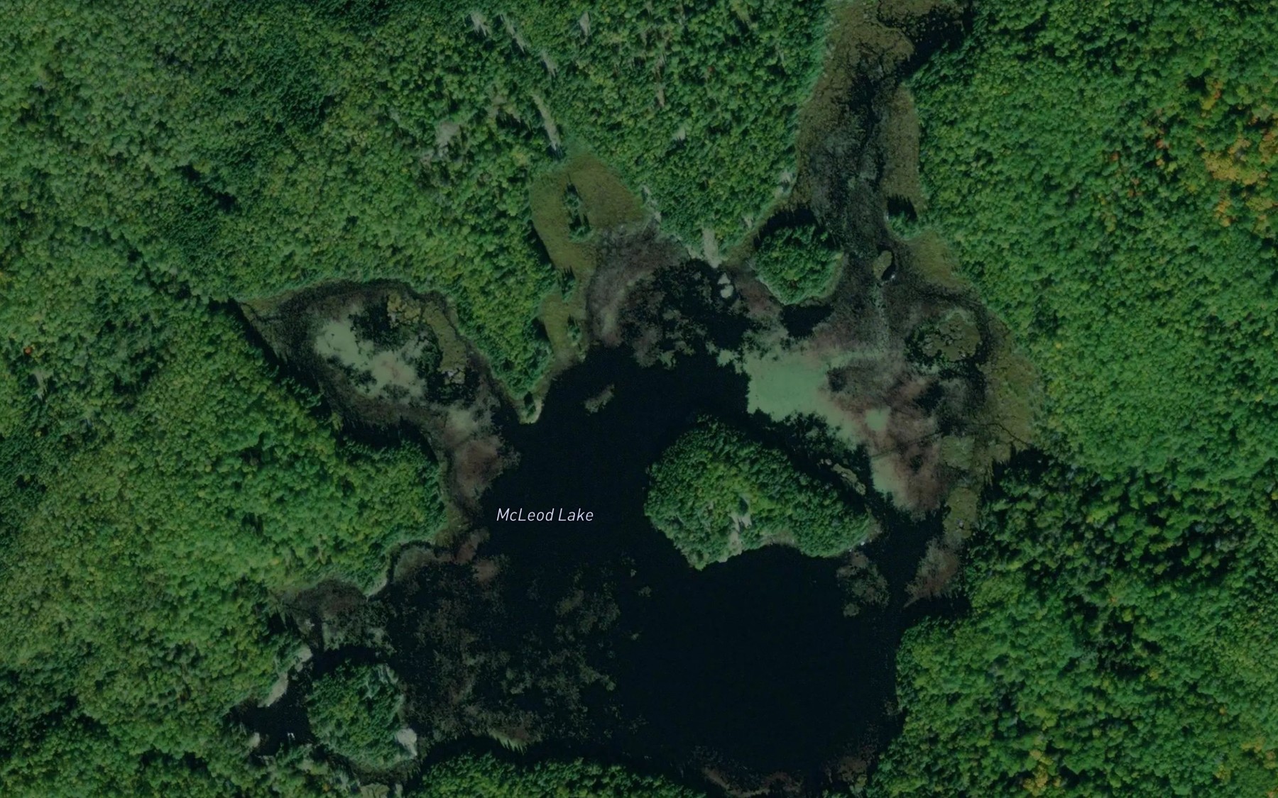 Satellite map of the McLeod Lake