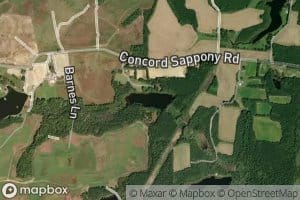 Parsons Number One Pond