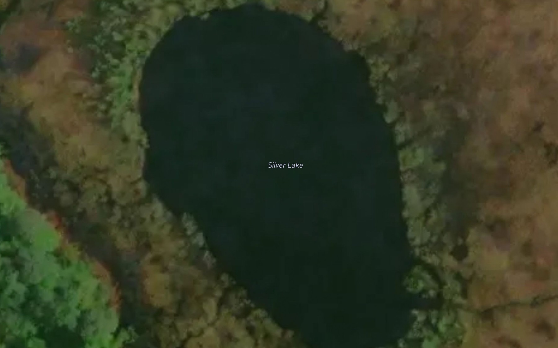 Satellite map of the Silver Lake