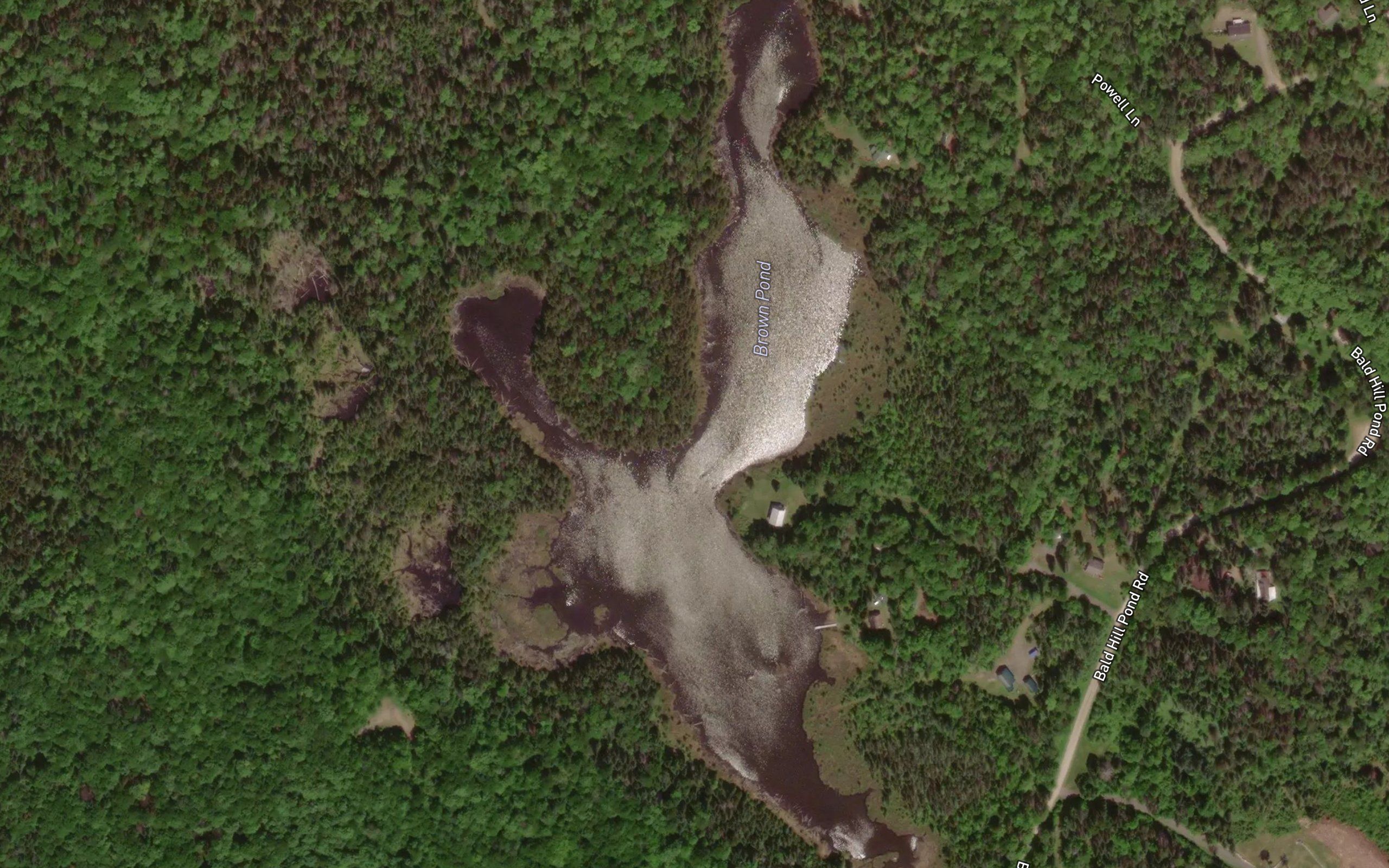 Brown Pond