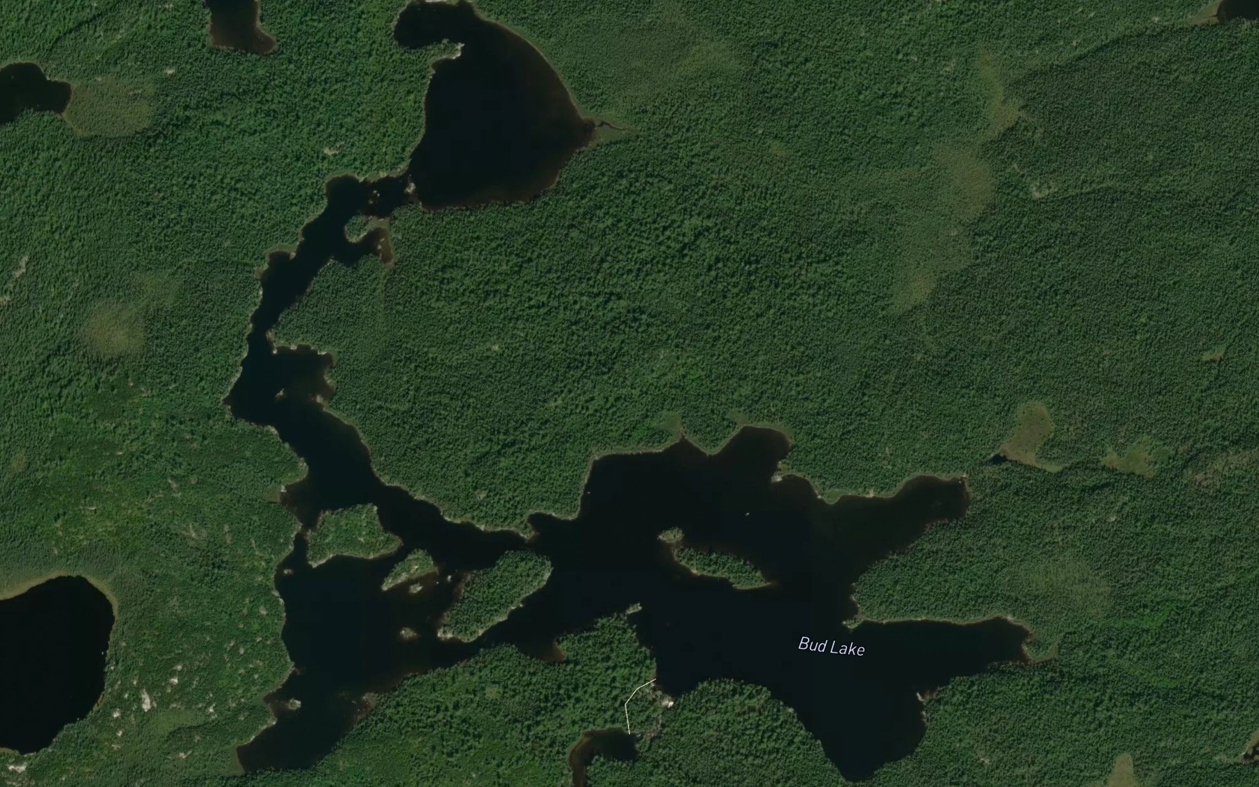 Satellite map of the Bud Lake