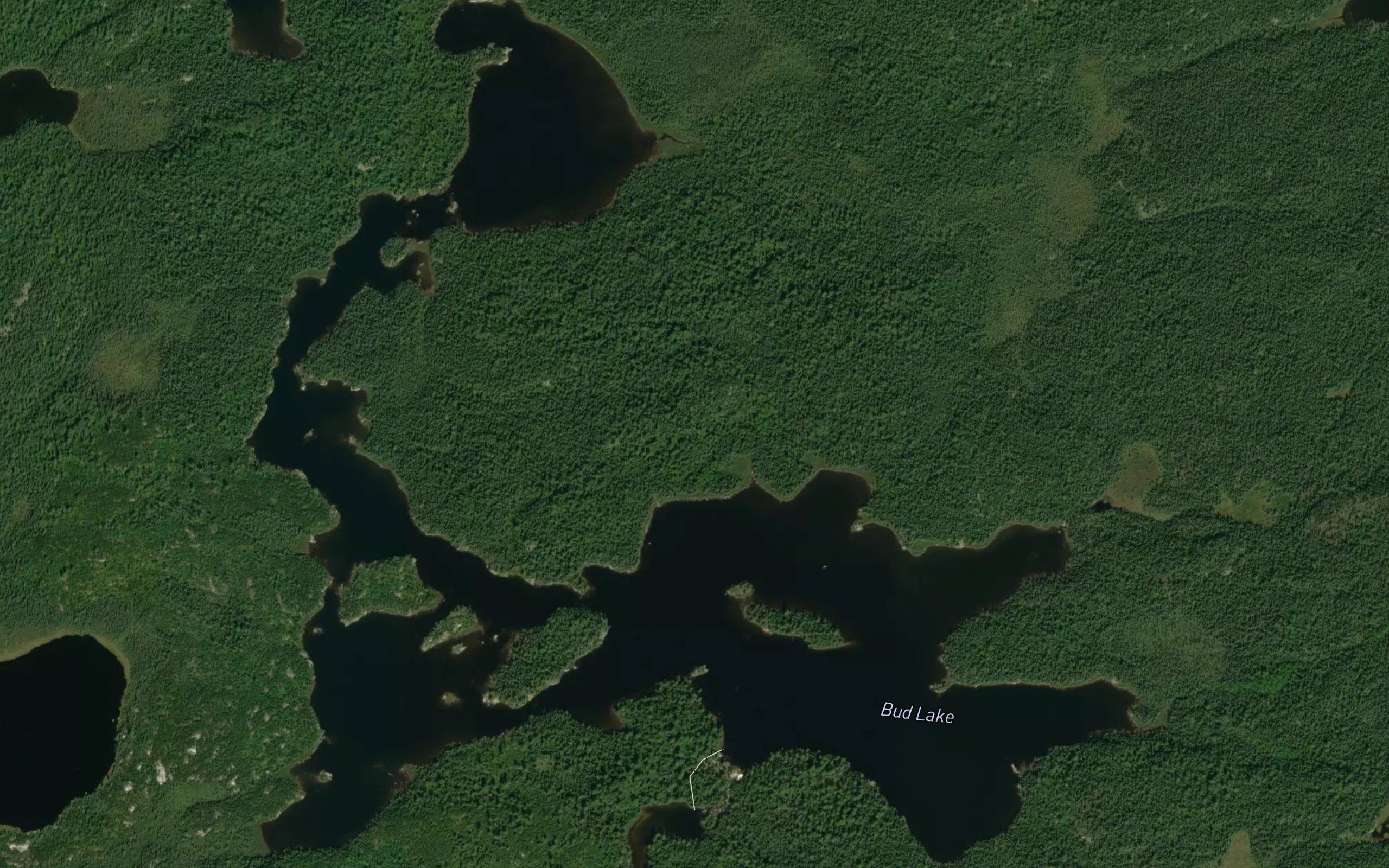 Bud Lake