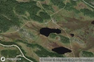 Uletjednet