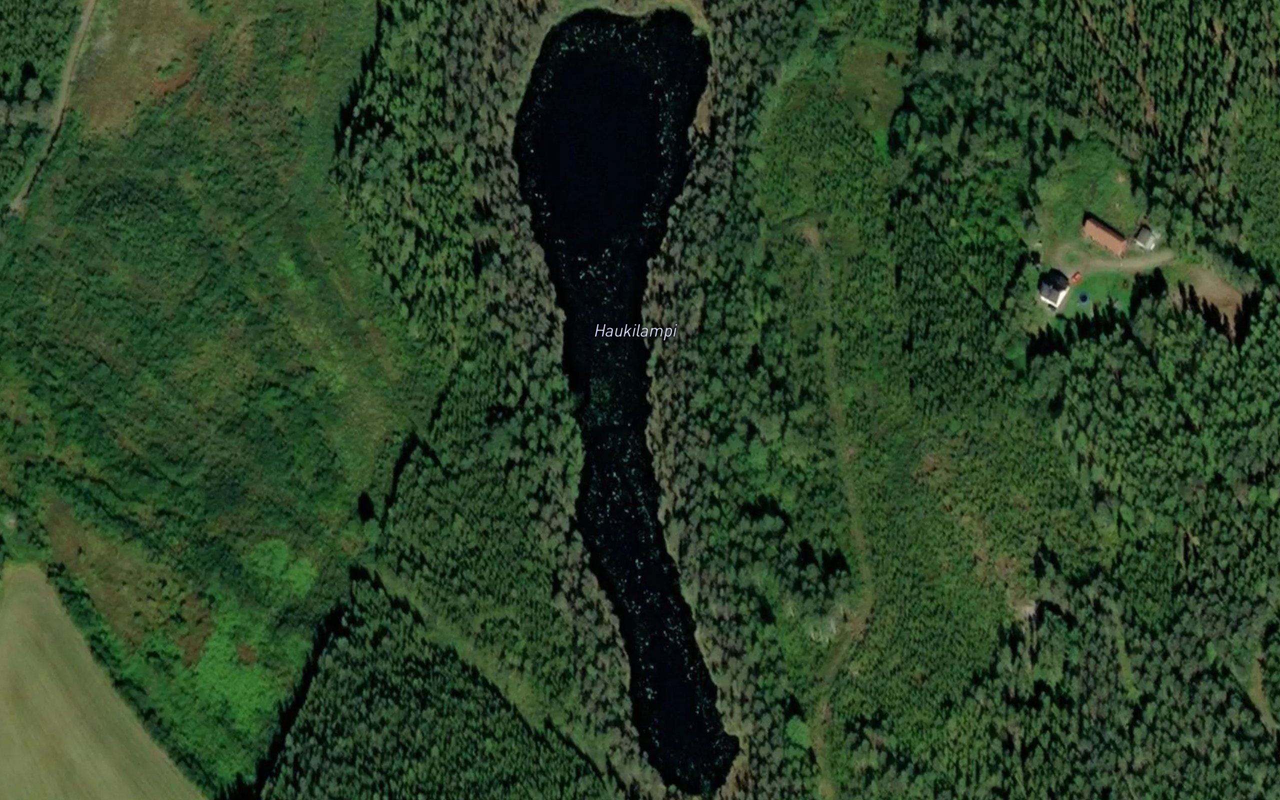 Haukilampi