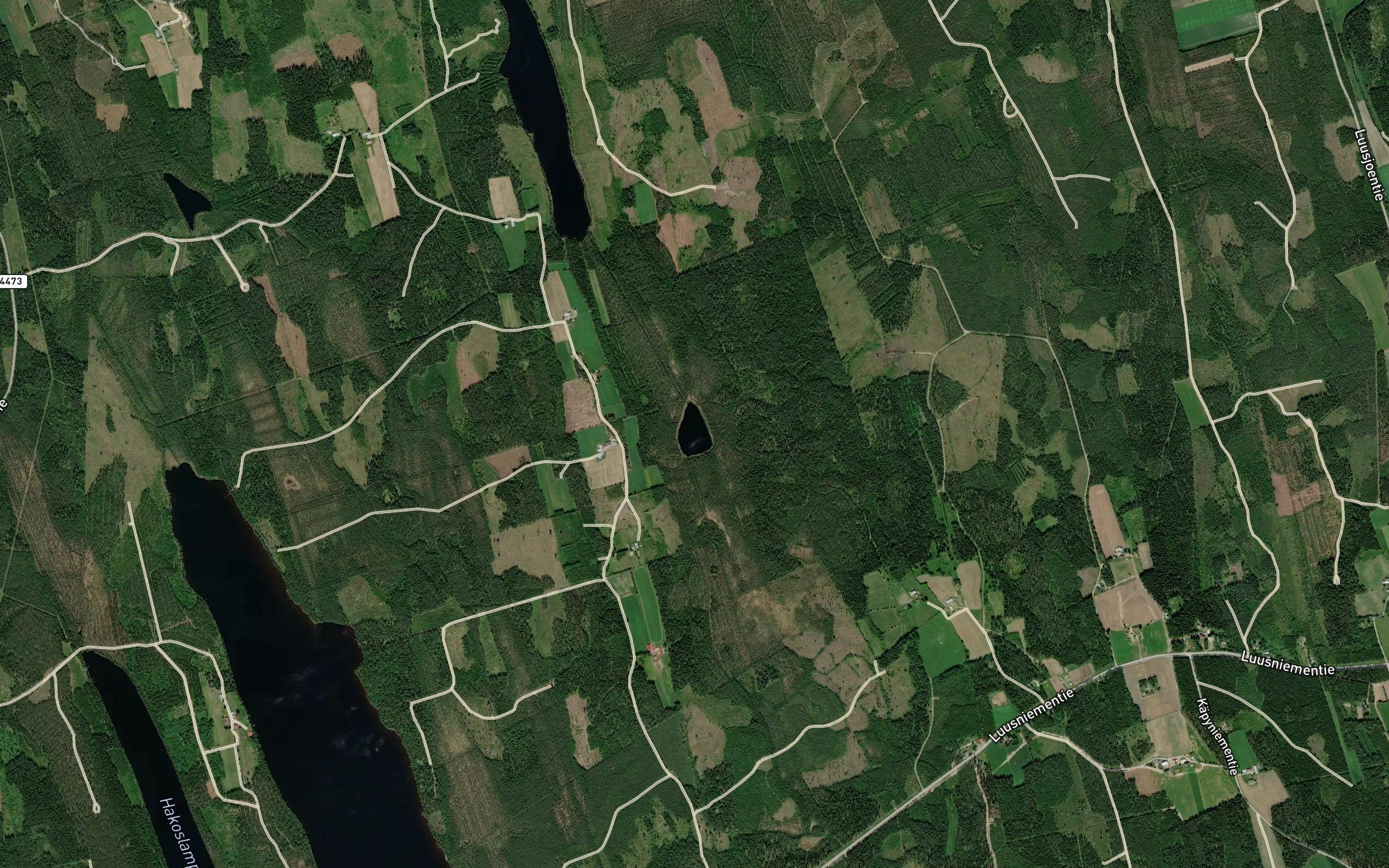 Vehkolampi