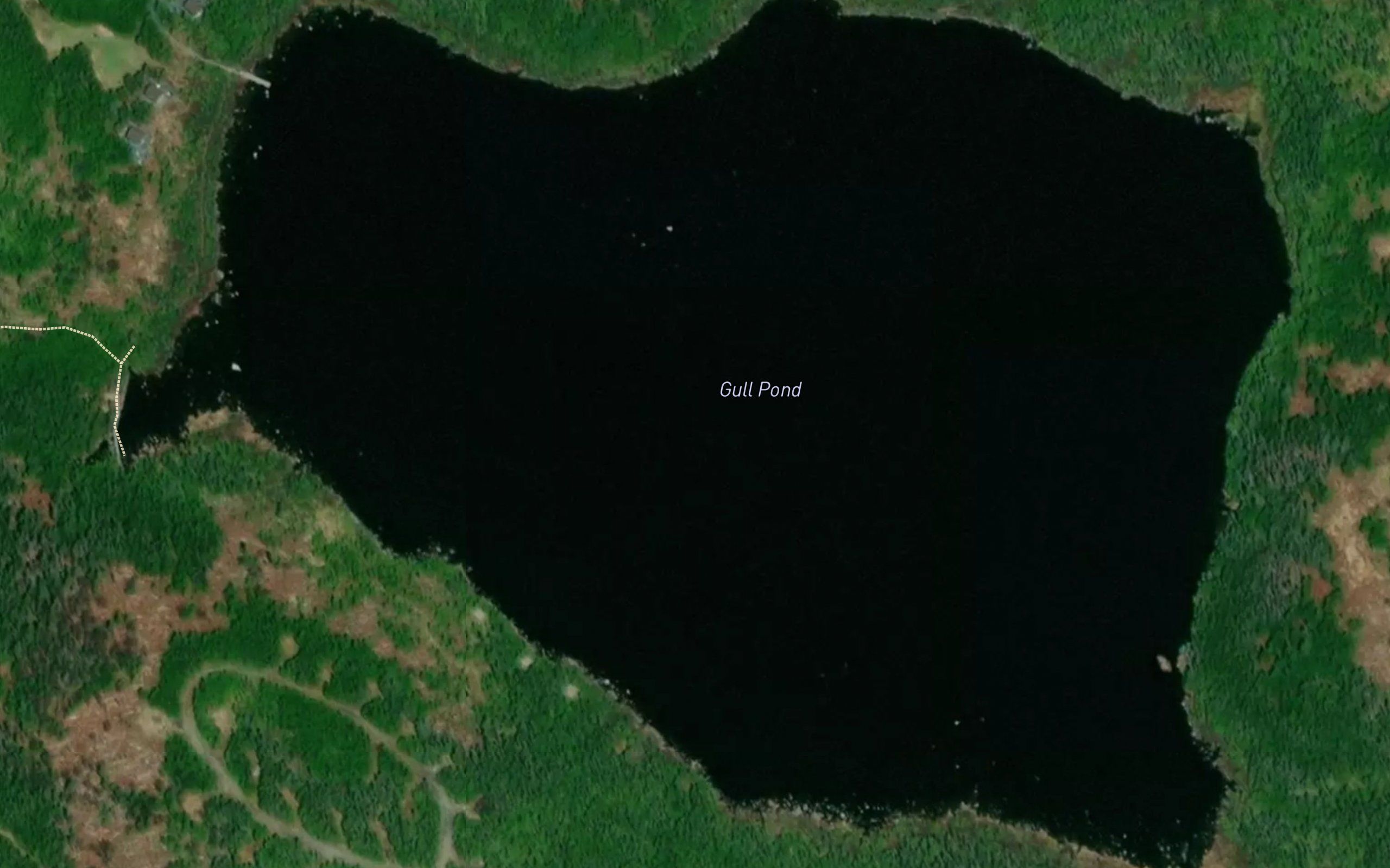 Gull Pond