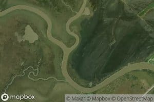 Austin Bayou