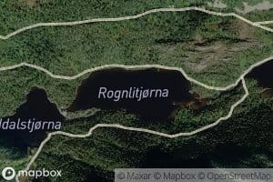 Rognlitjorna