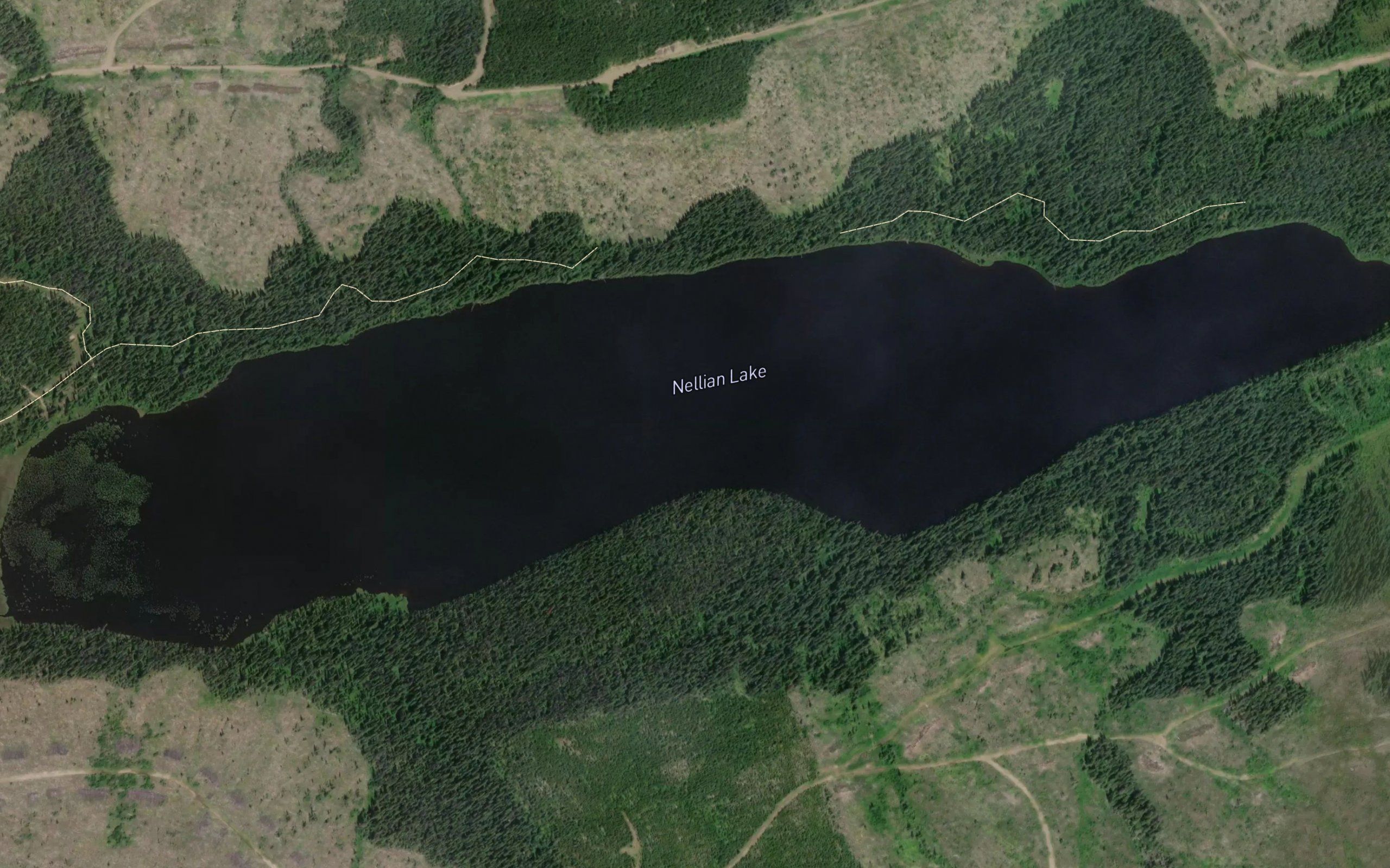 Nellian Lake