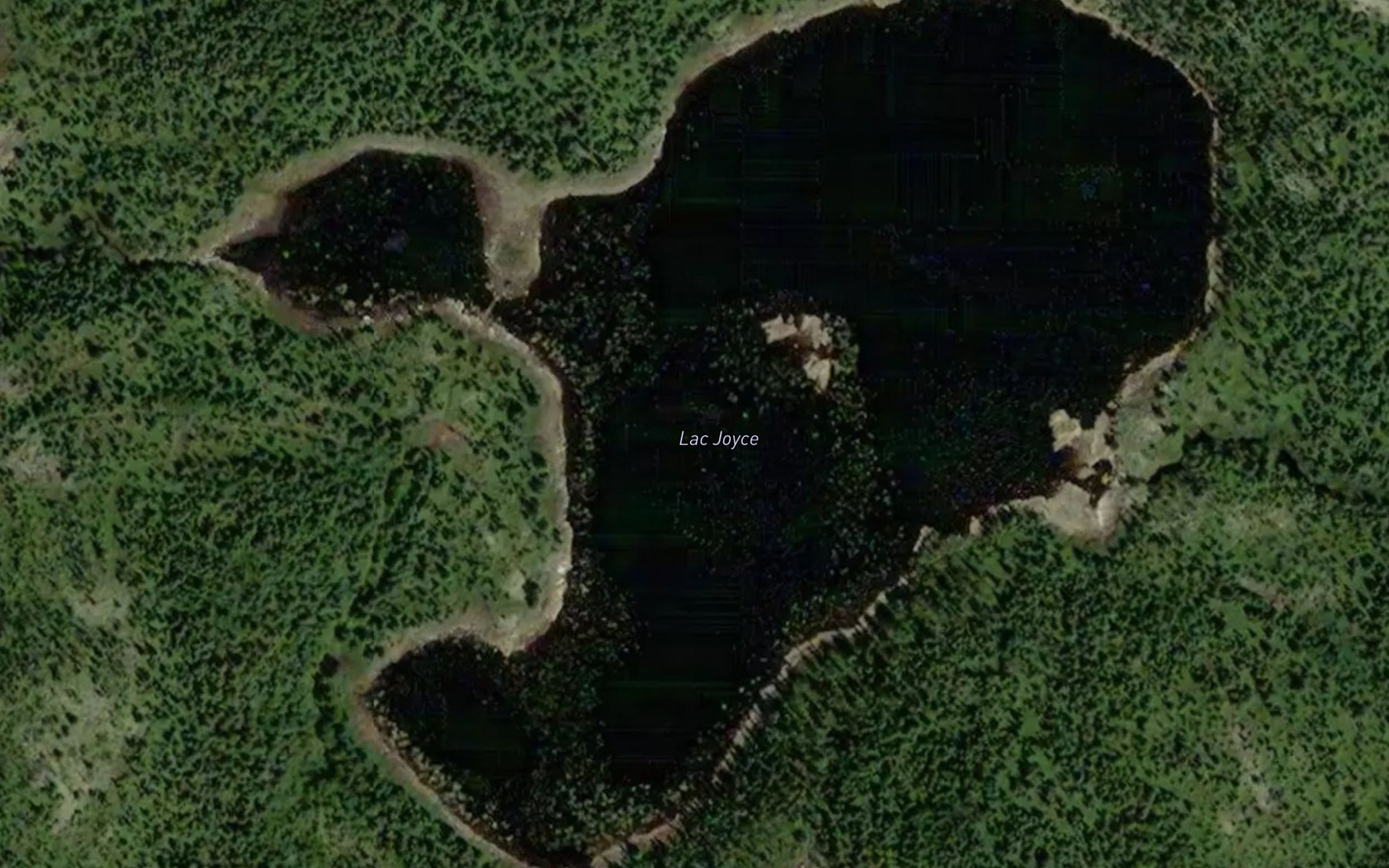 Satellite map of the Lac Joyce