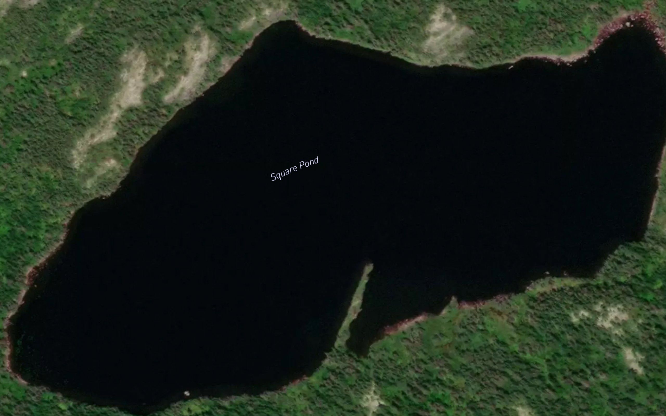 Square Pond