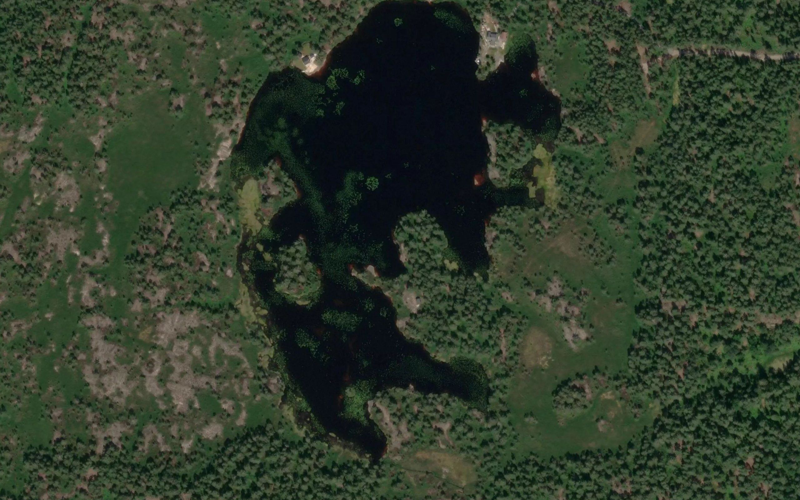 Fiskelaustjorna