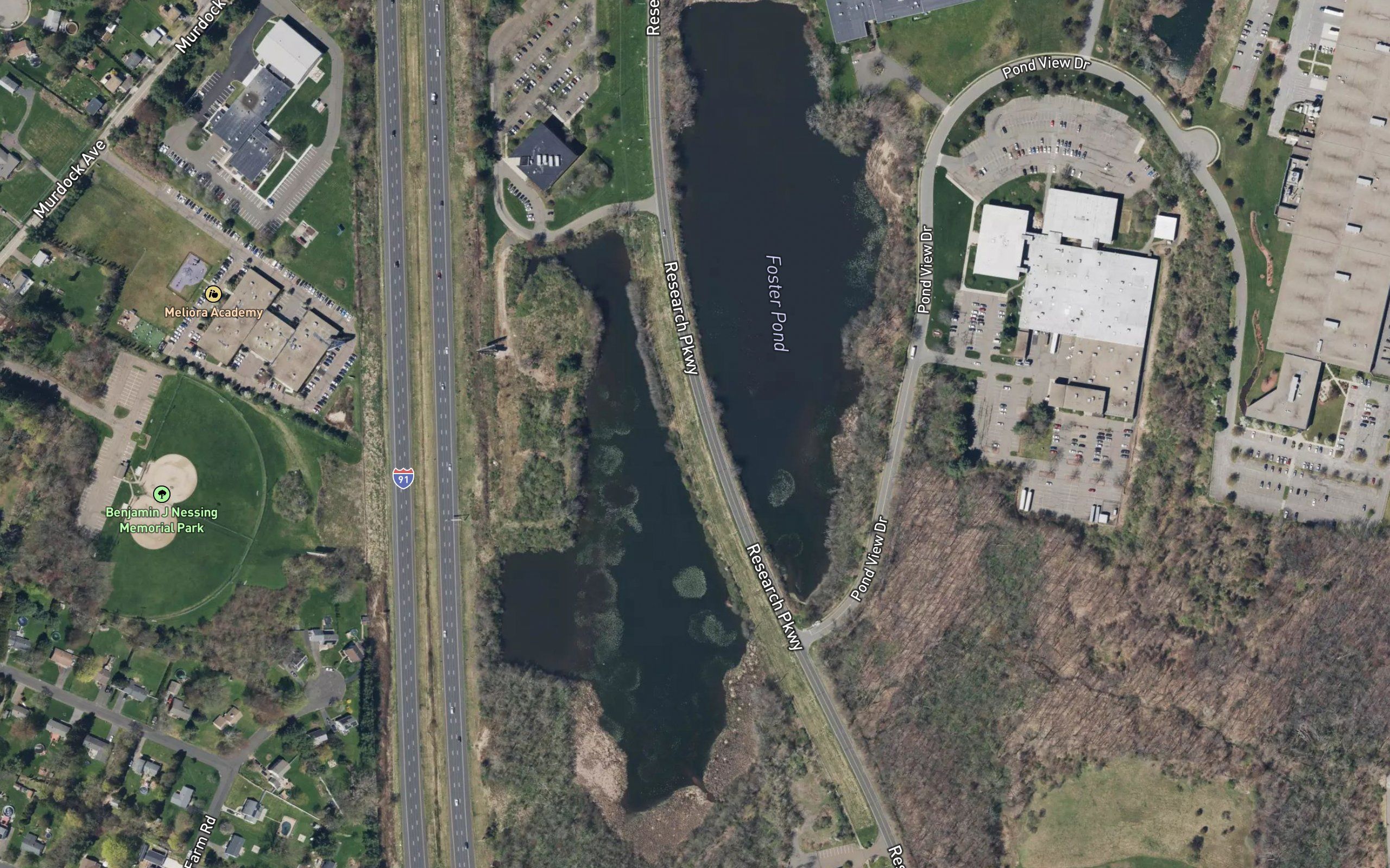 Bishops Pond