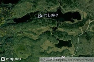 Burt Lake