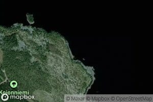 Kokko