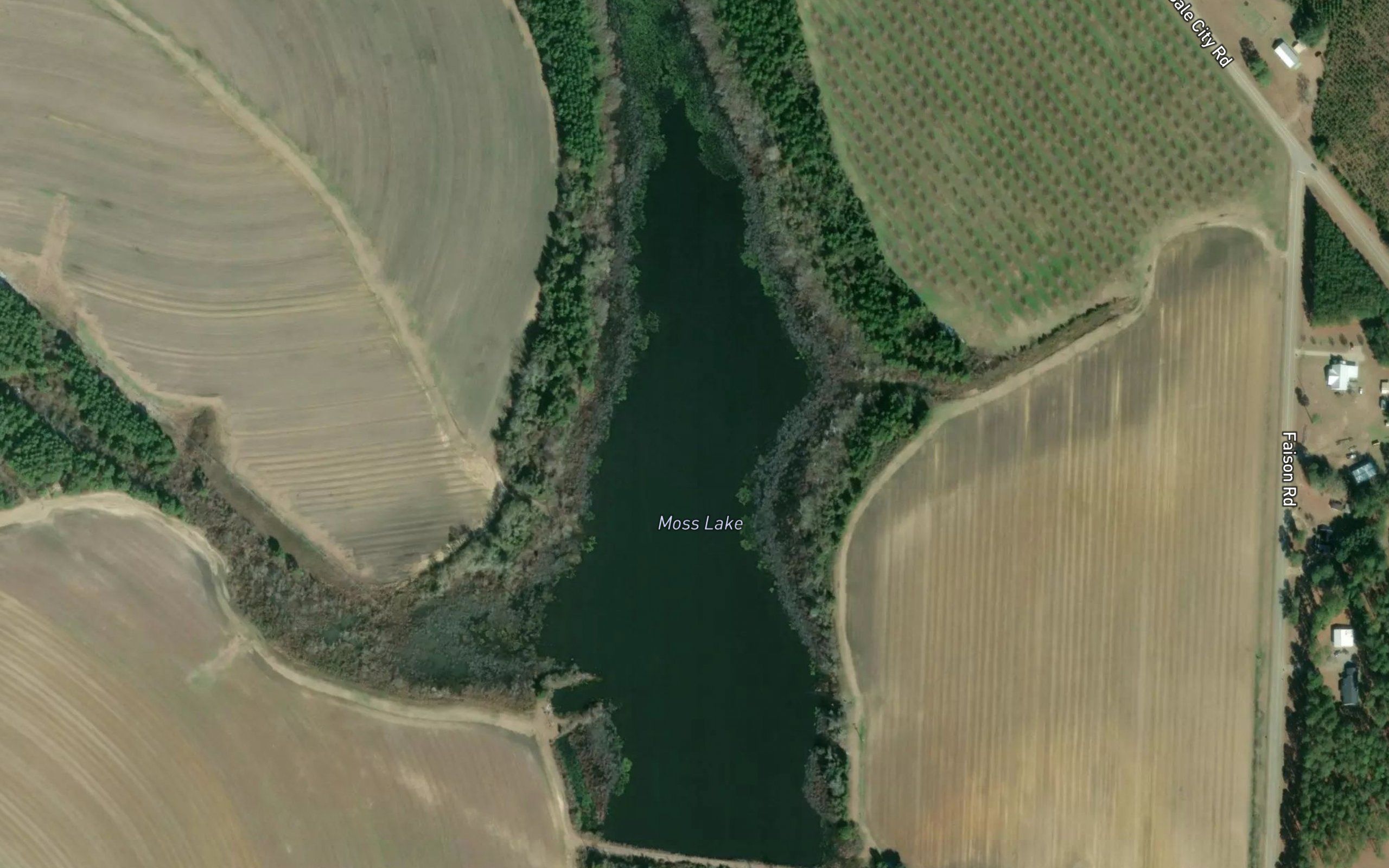 Moss Lake