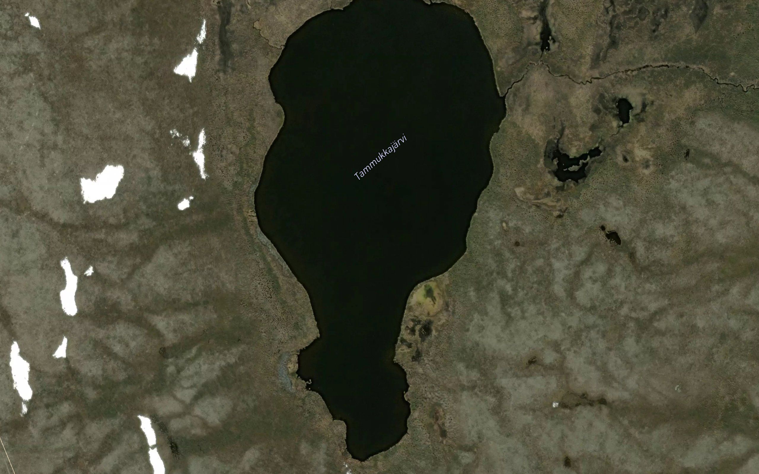 Tammukkajaervi