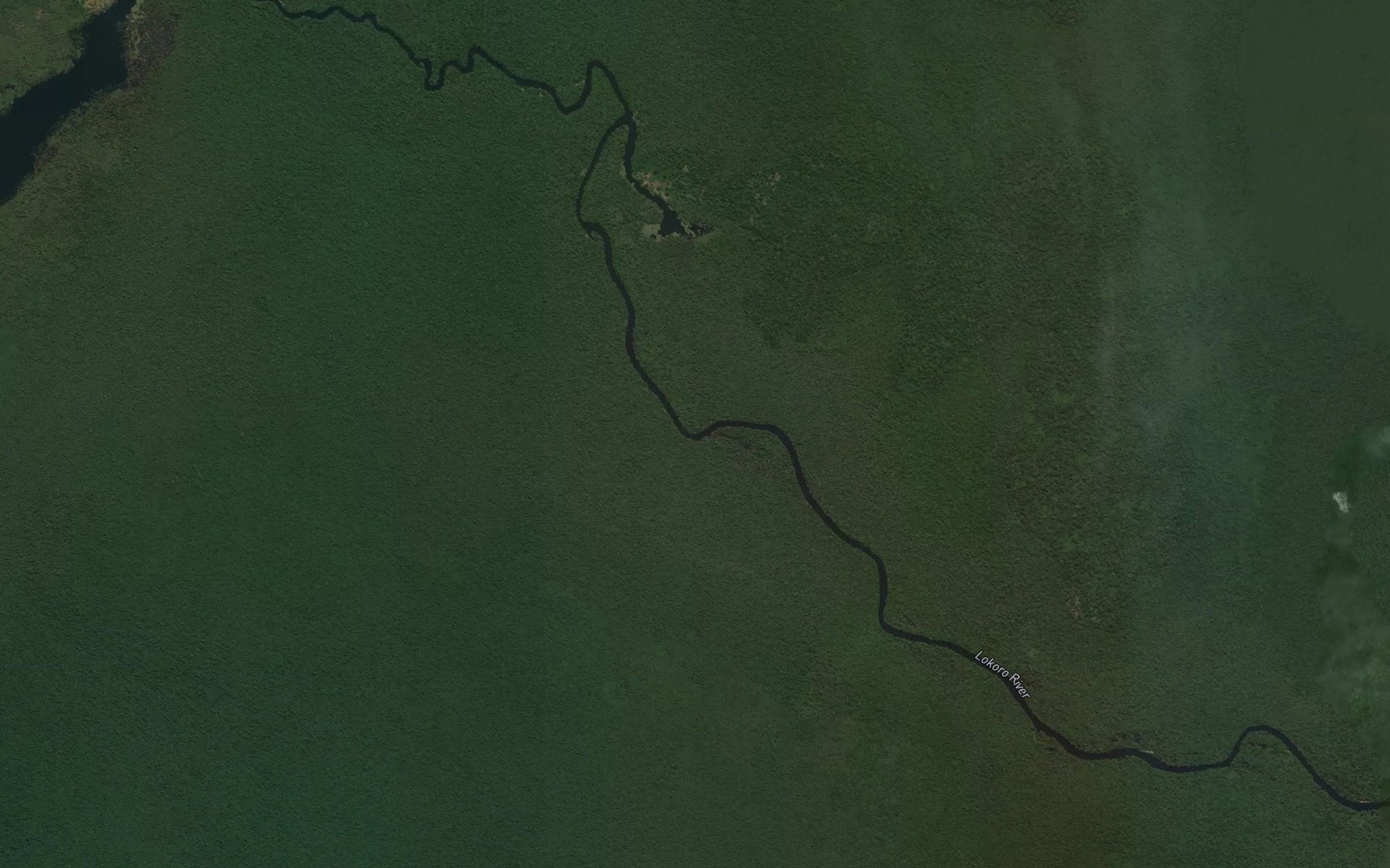 Satellite map of the Bolima