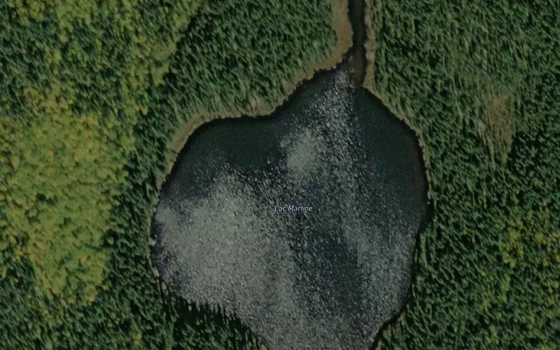 Satellite map of the Lac en Coeur