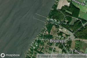Bivalve Harbor
