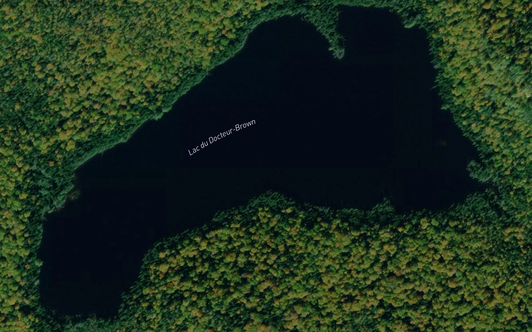 Satellite map of the Lac du Docteur-Brown