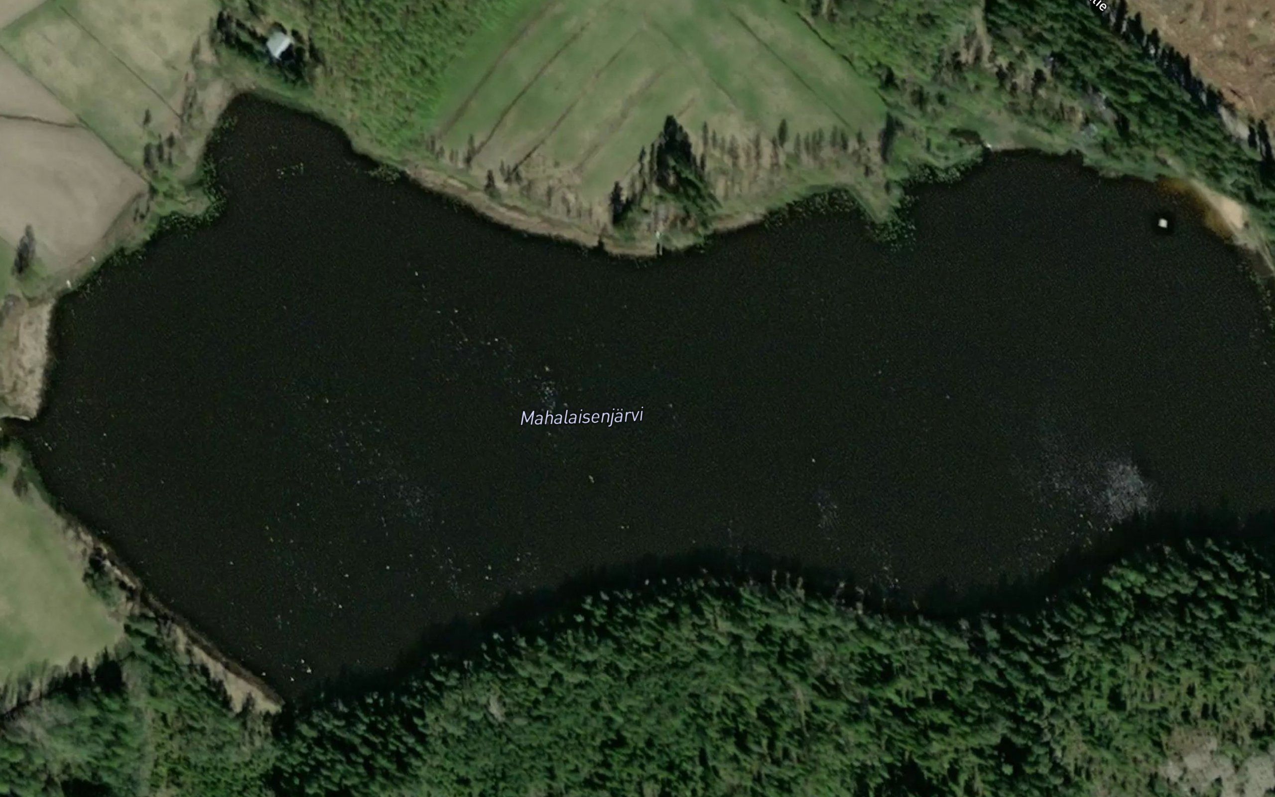 Mahalaisenjarvi