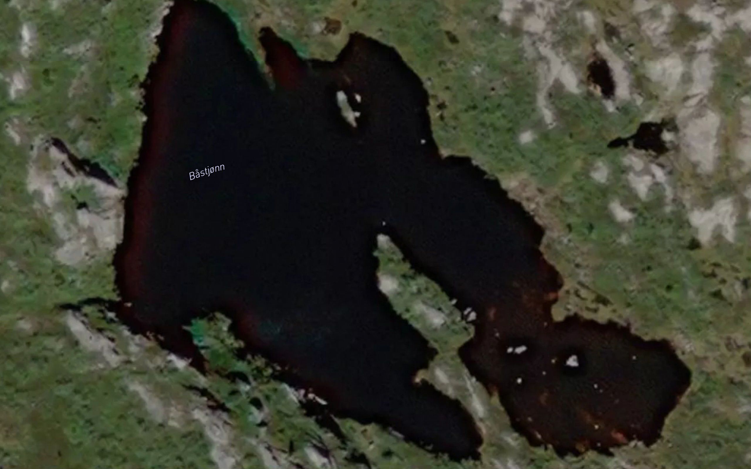 Bastjorn