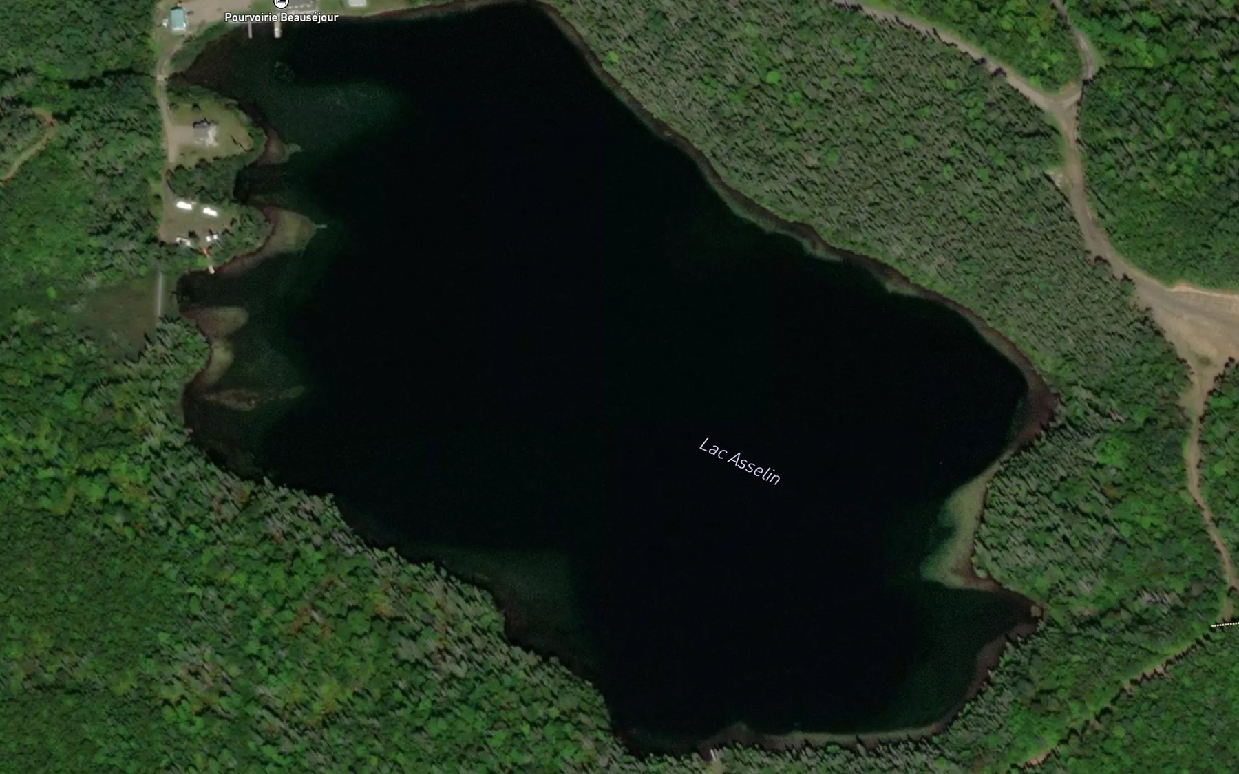Satellite map of the Lac Asselin