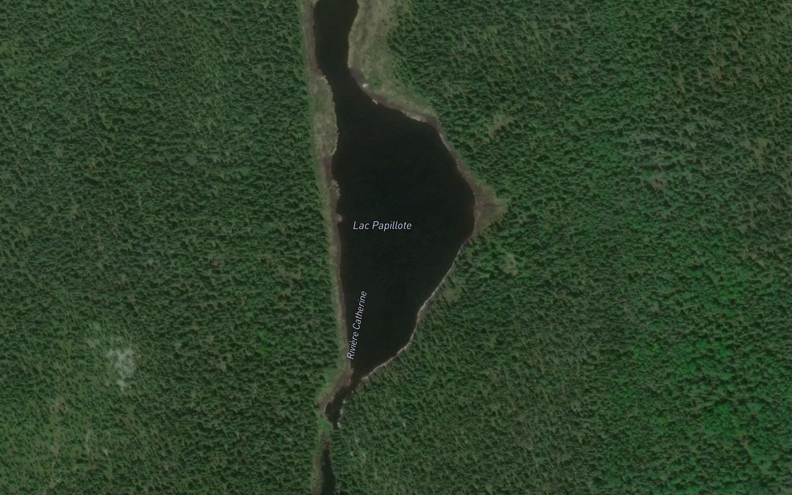 Lac Papillote