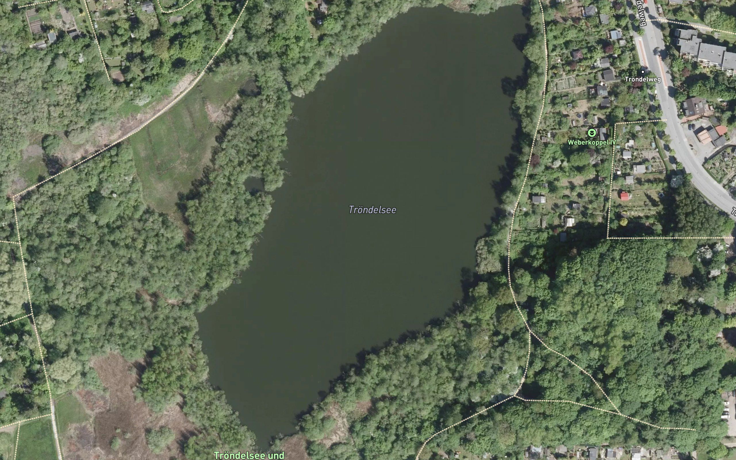 Trondel See