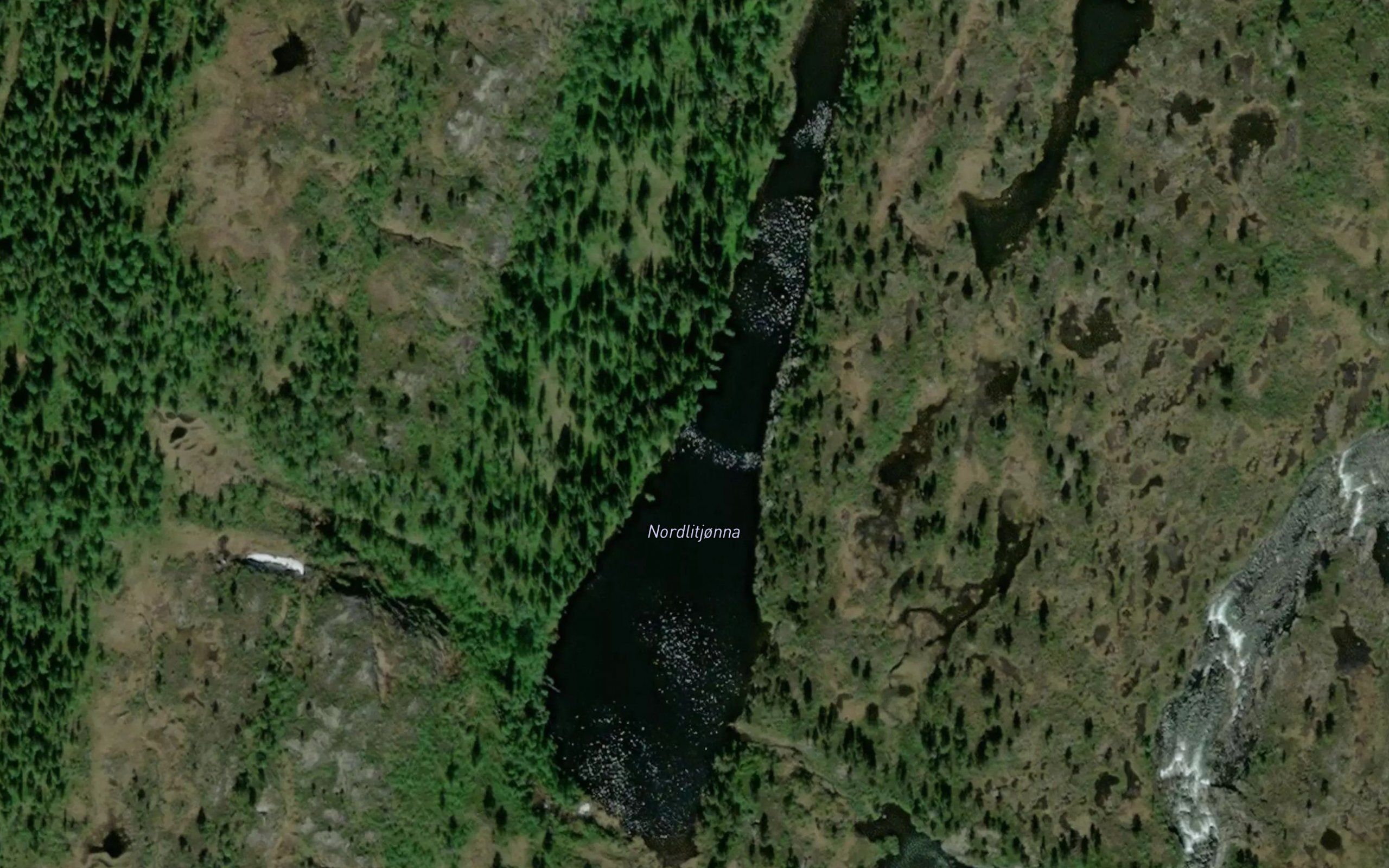 Nordlitjorna