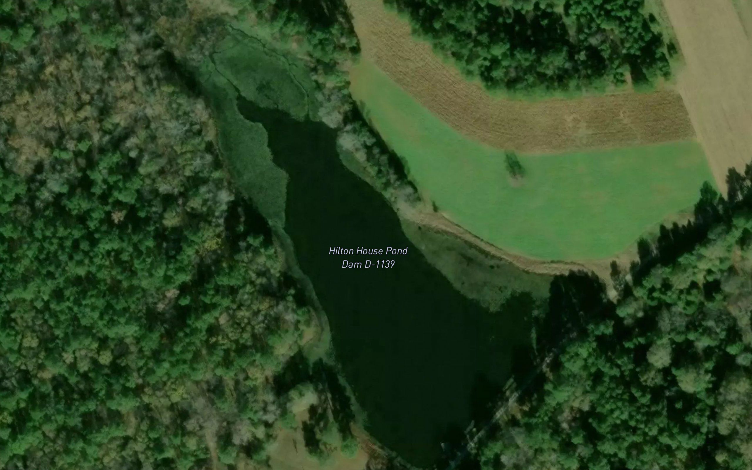 Hilton House Pond
