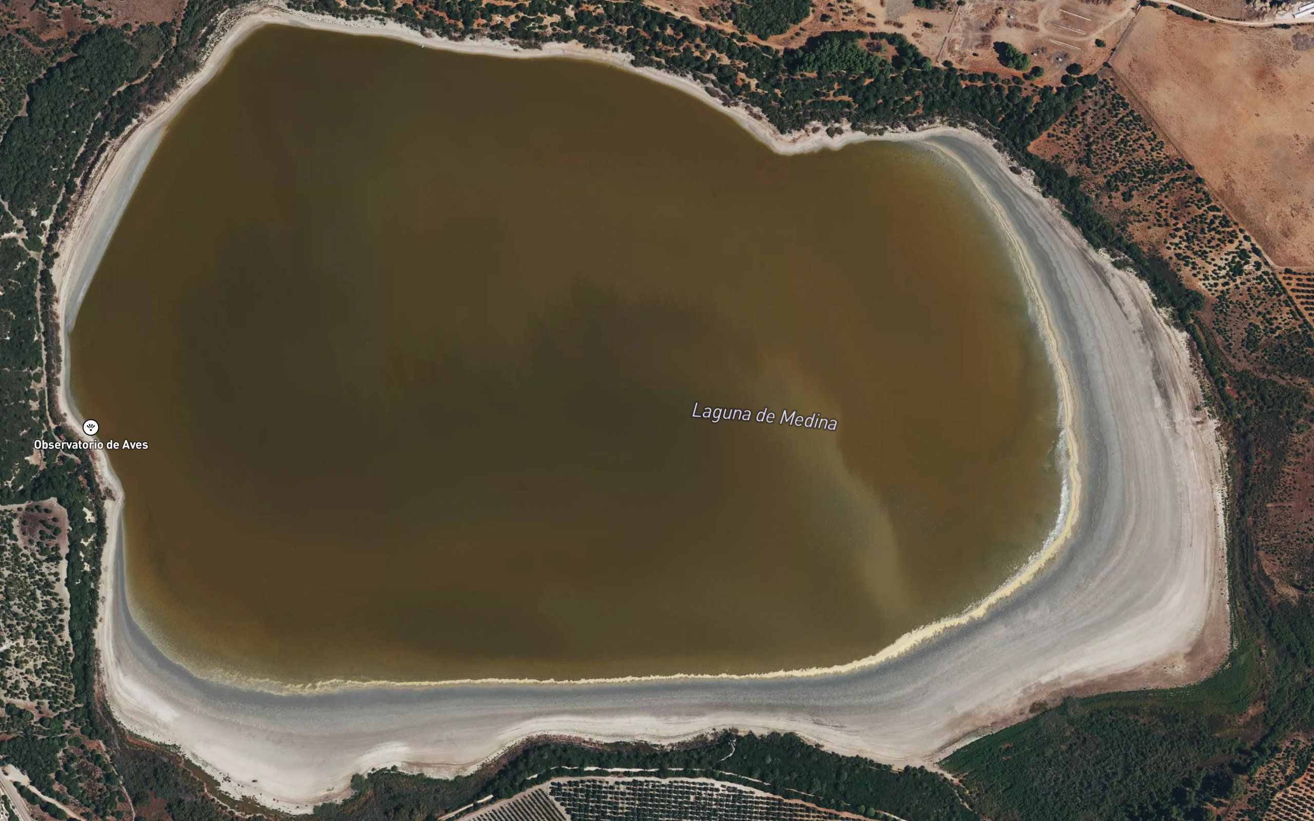 Laguna de Medina