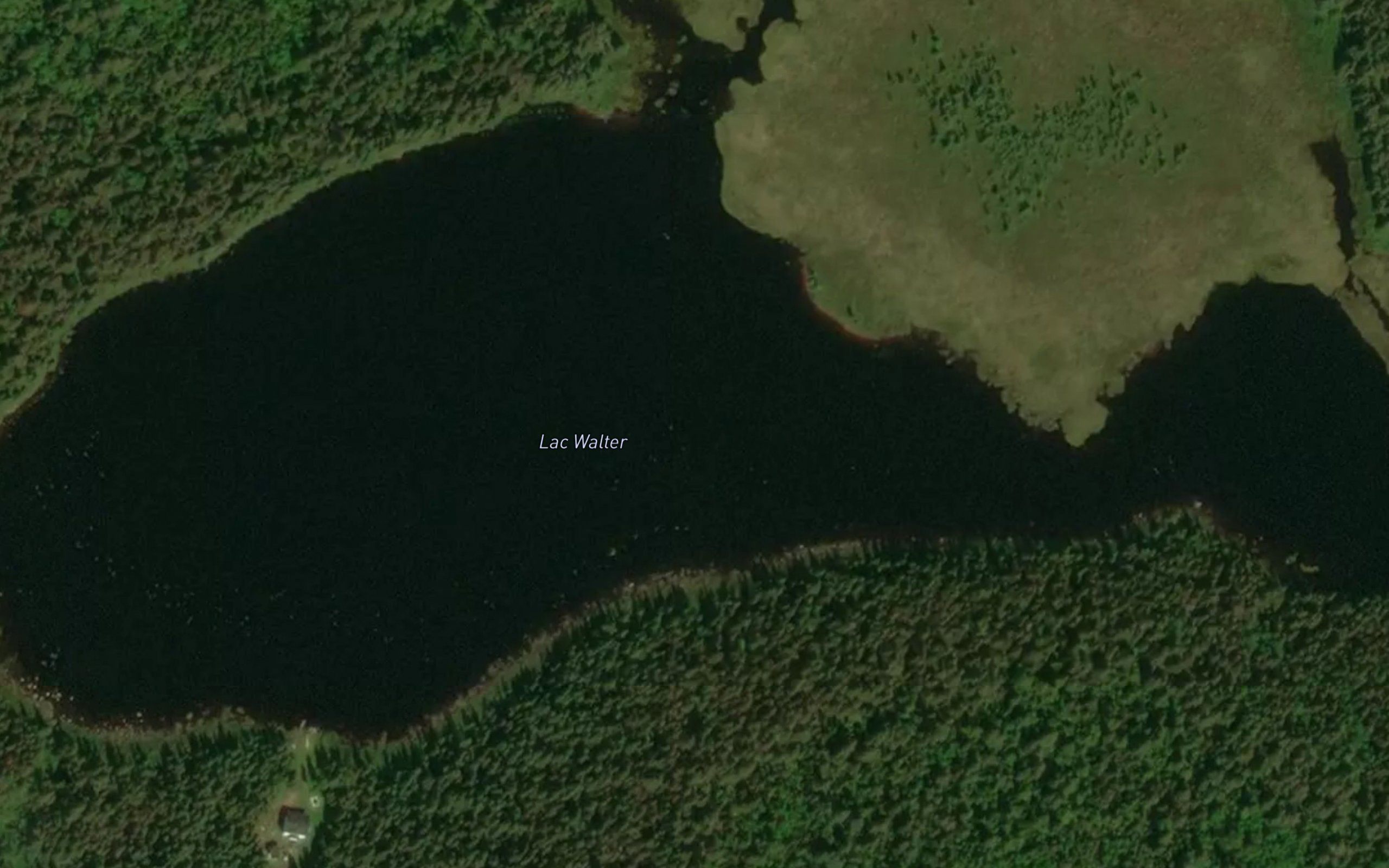 Lac Walter