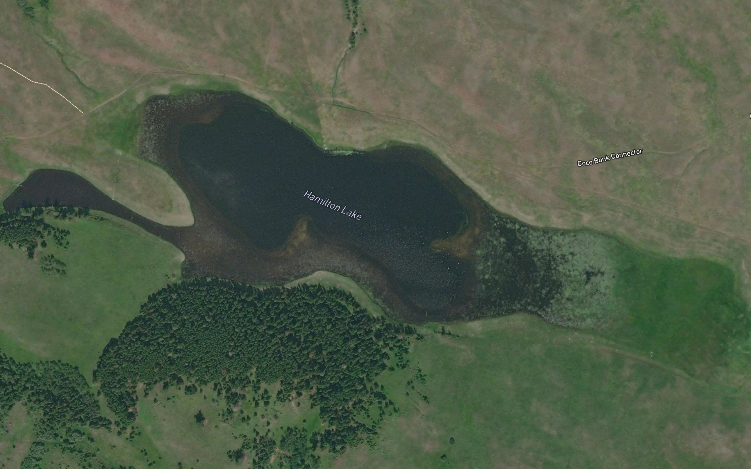 Hamilton Lake