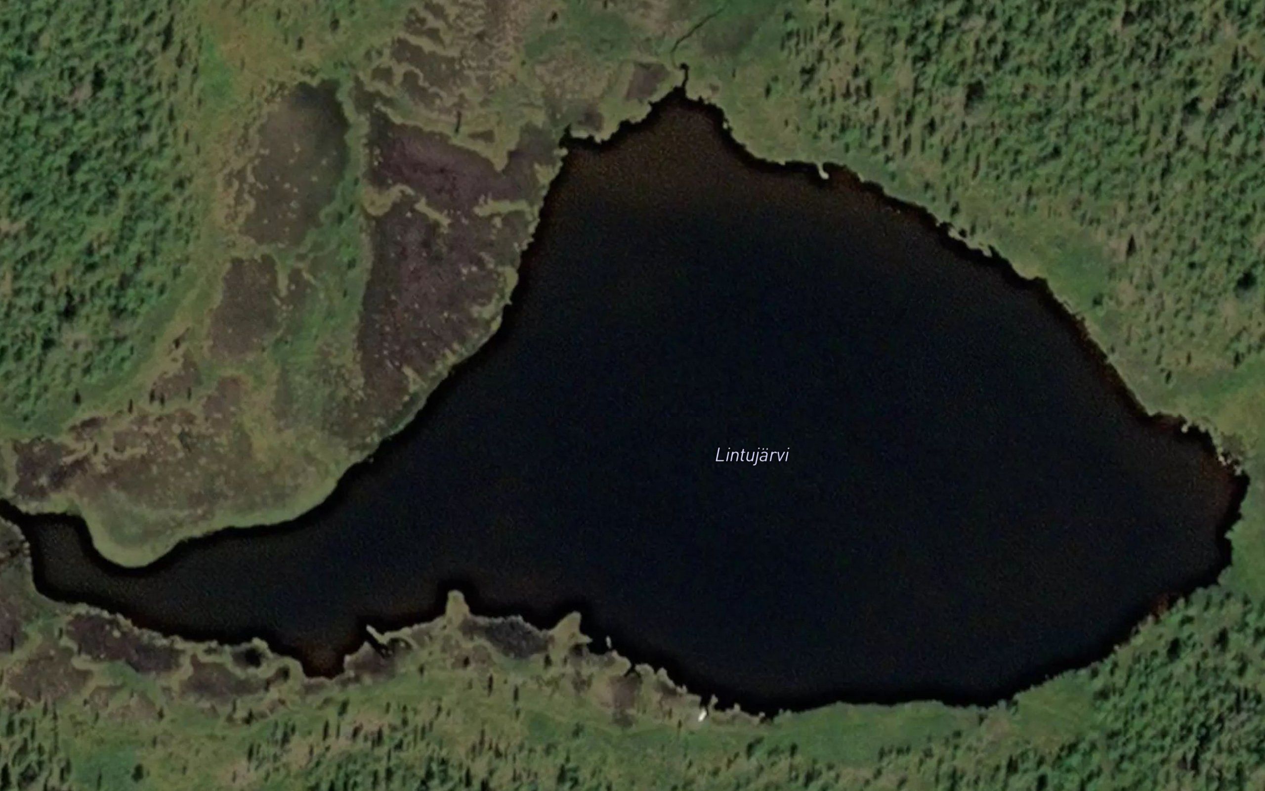 Lintujarvi