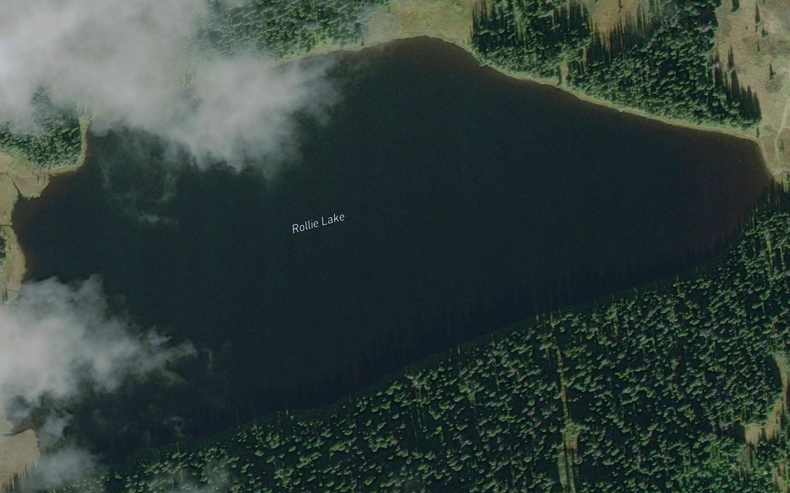 Rollie Lake