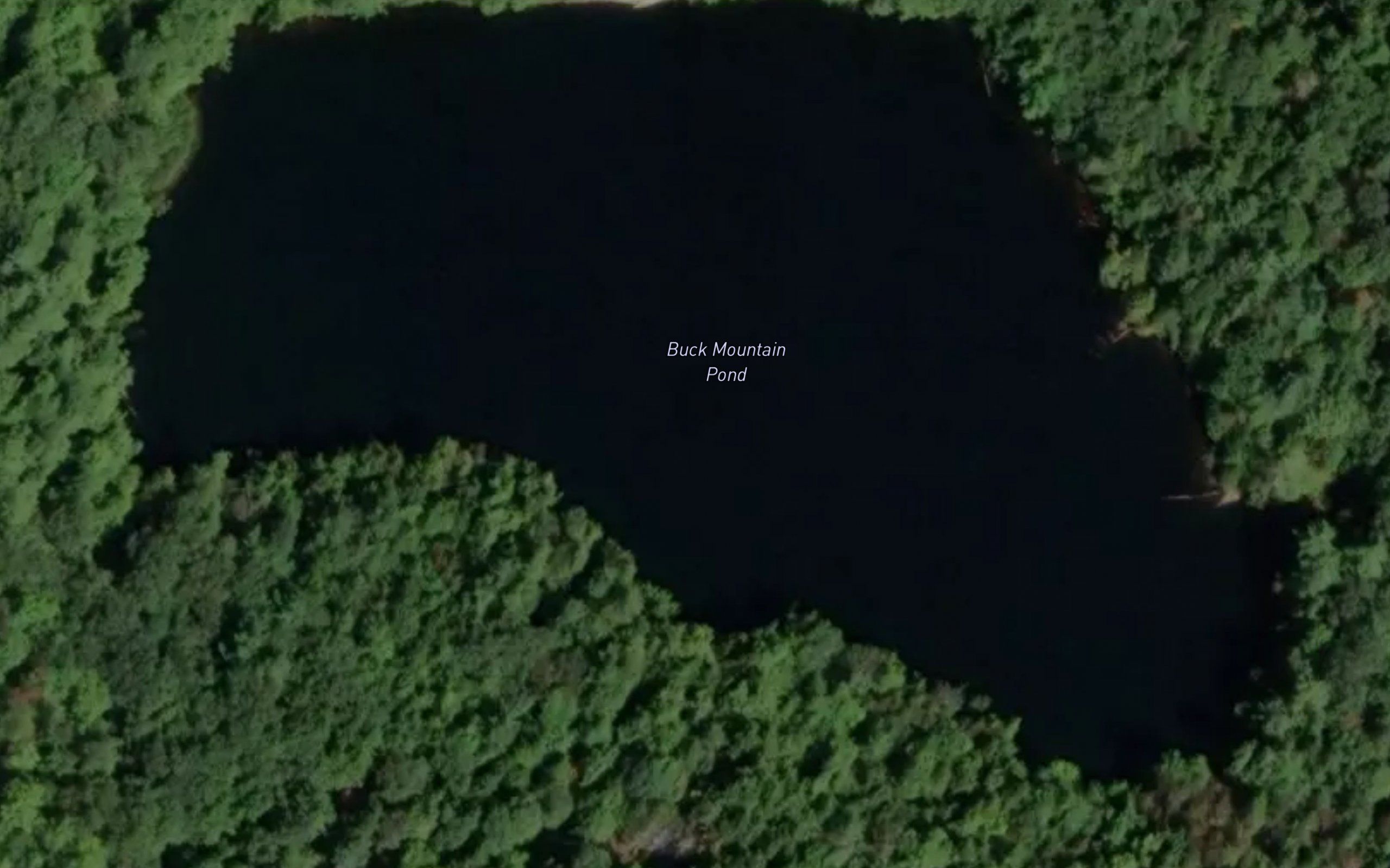 Buck Mountain Pond