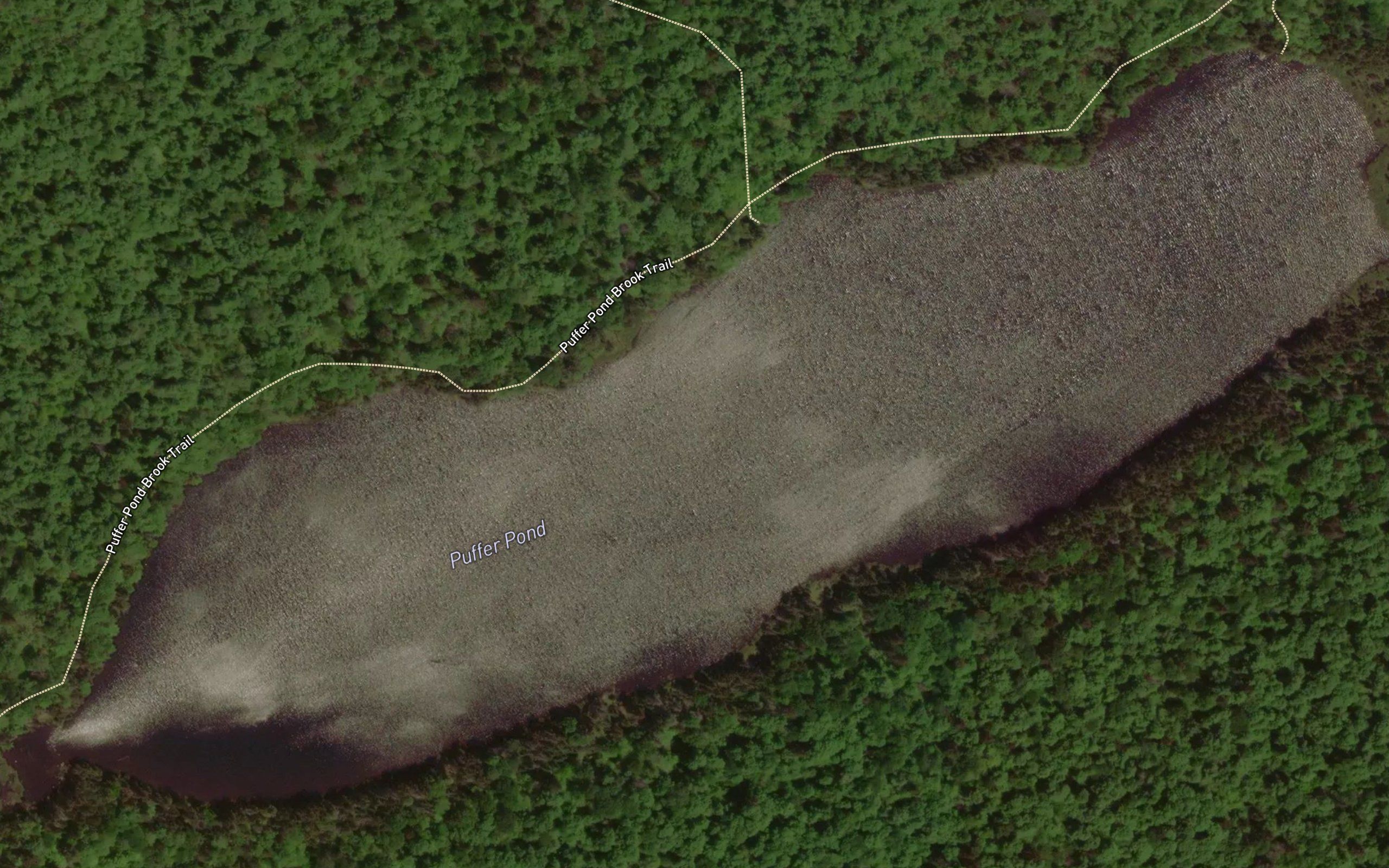 Puffer Pond
