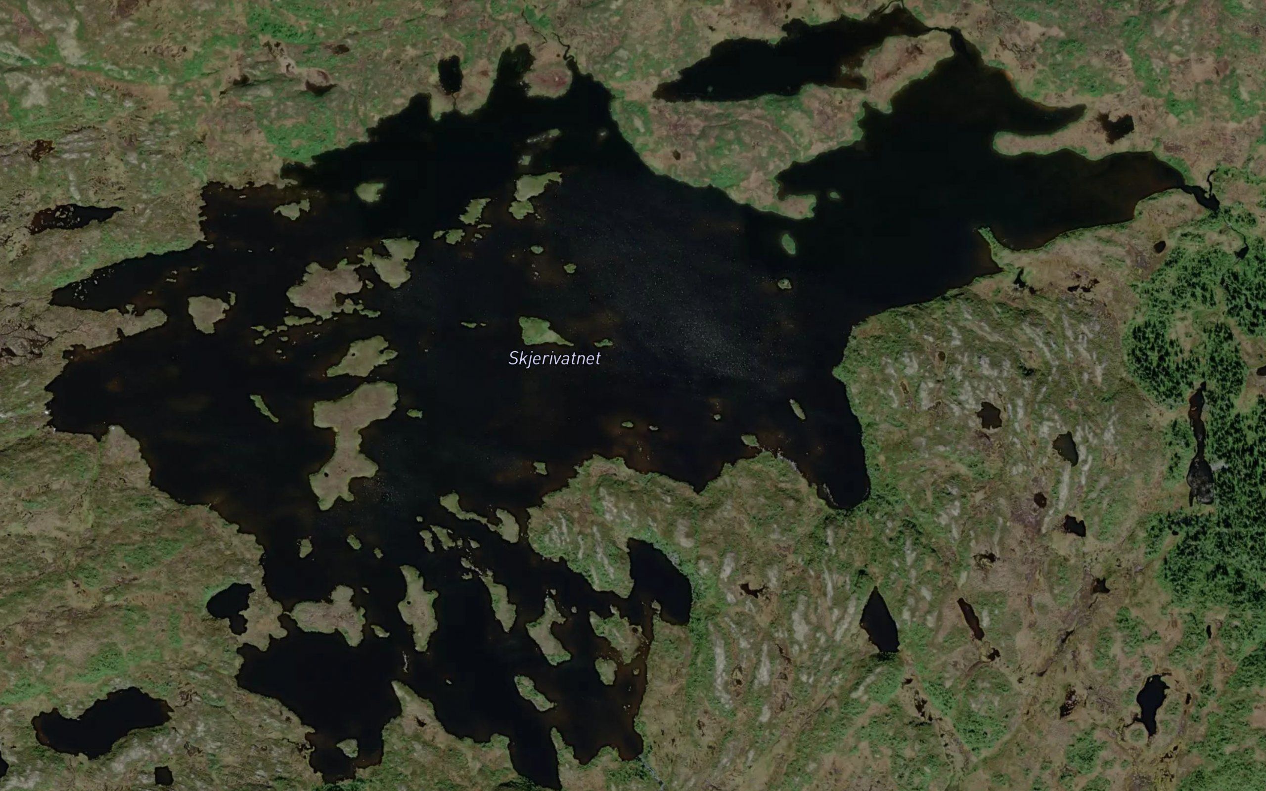 Skjerivatnet