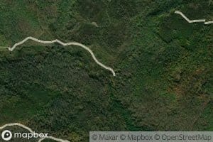 Coalbed Run
