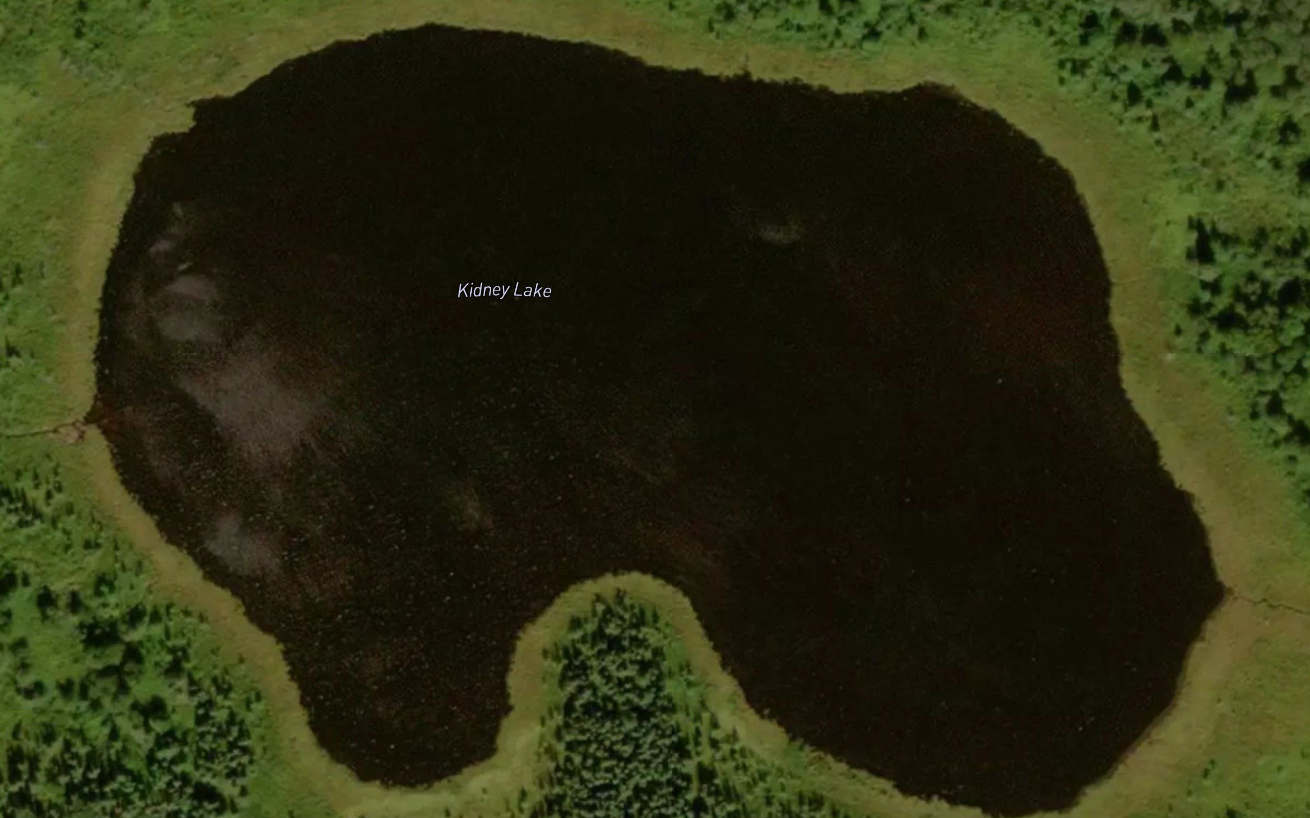 Kidney Lake