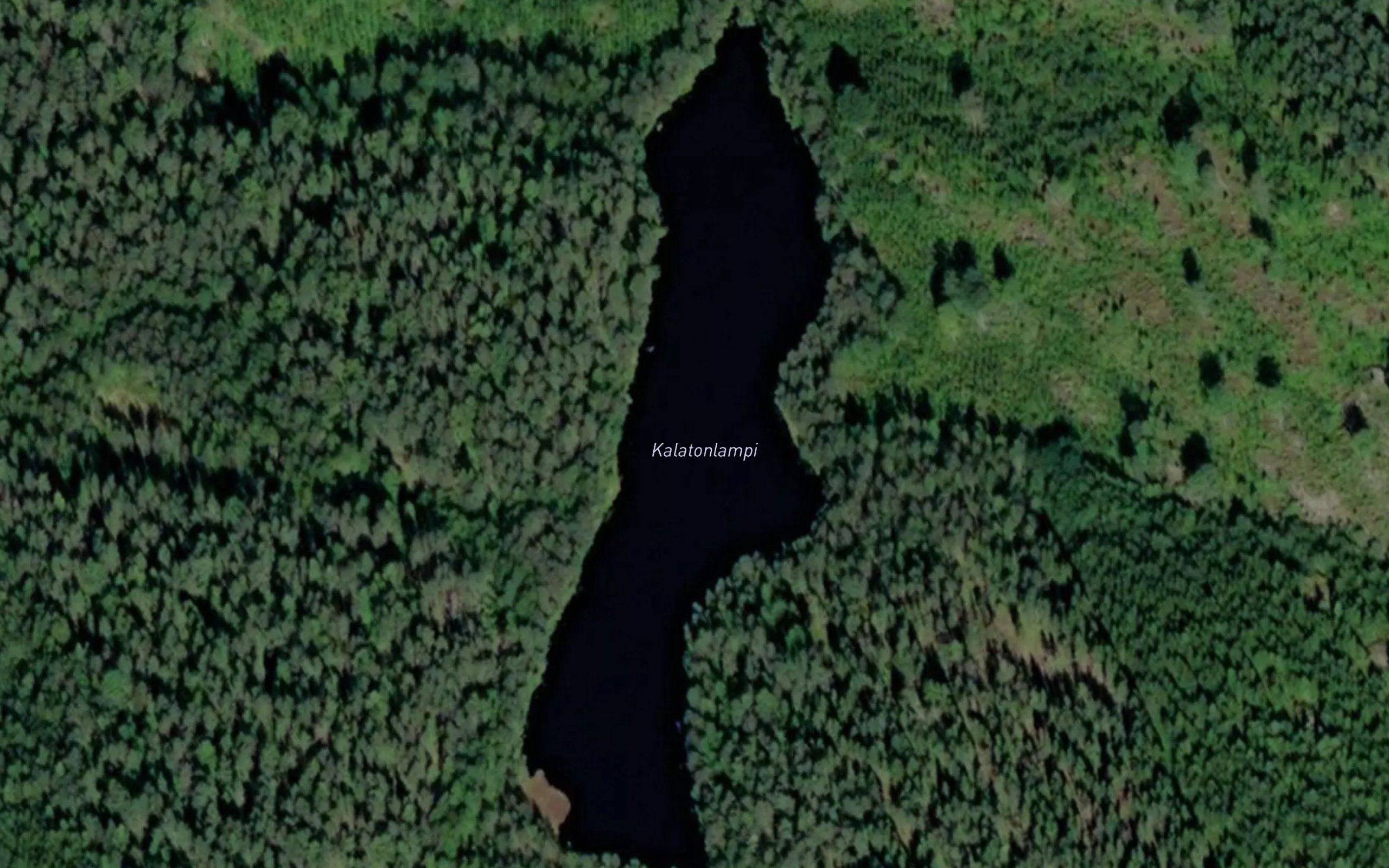 Kalatonlampi