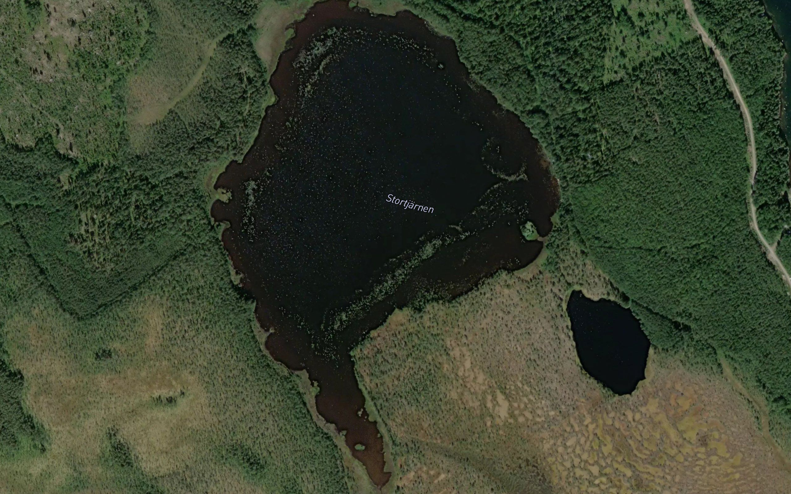 Stortjarn