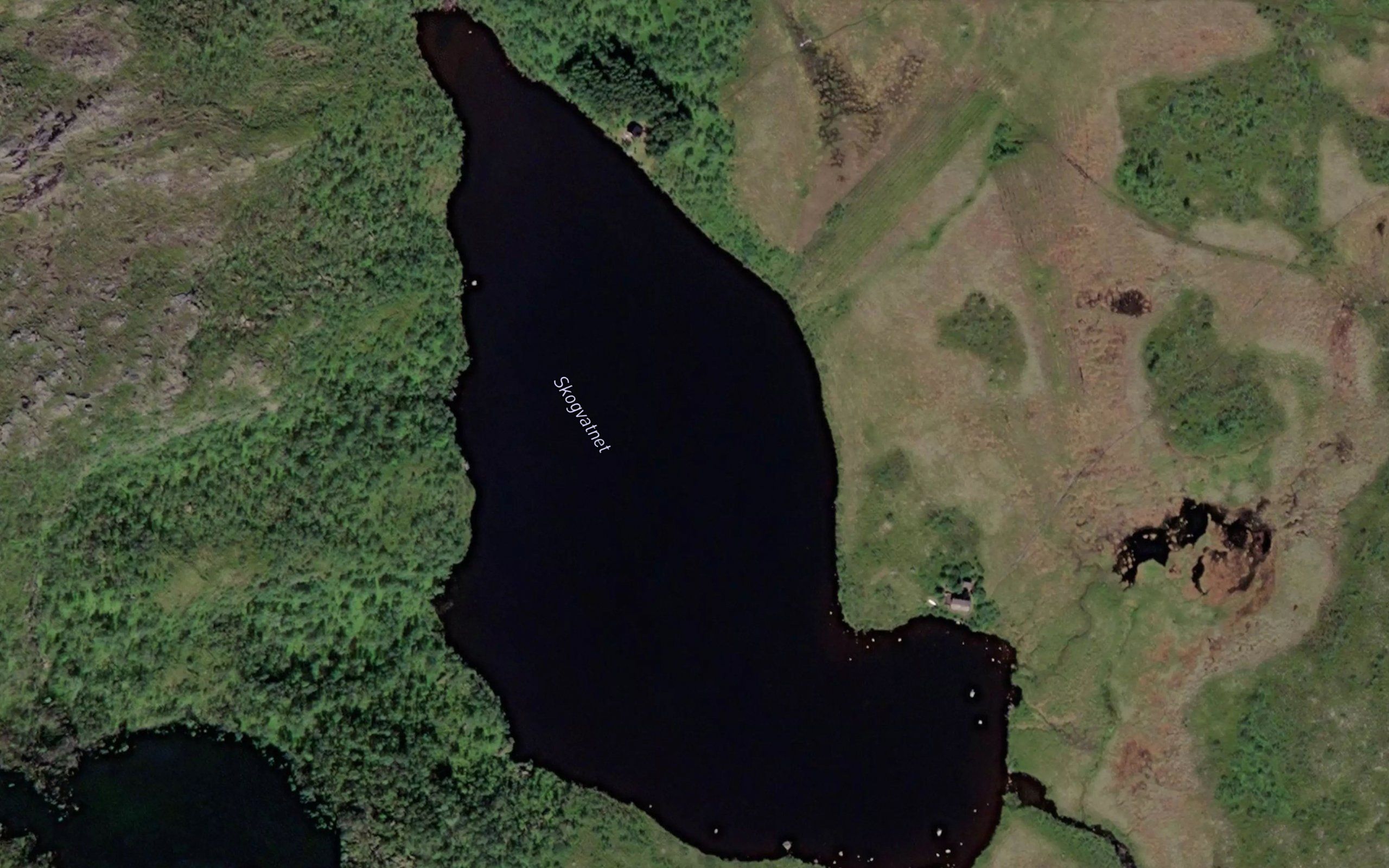 Skogvatnet