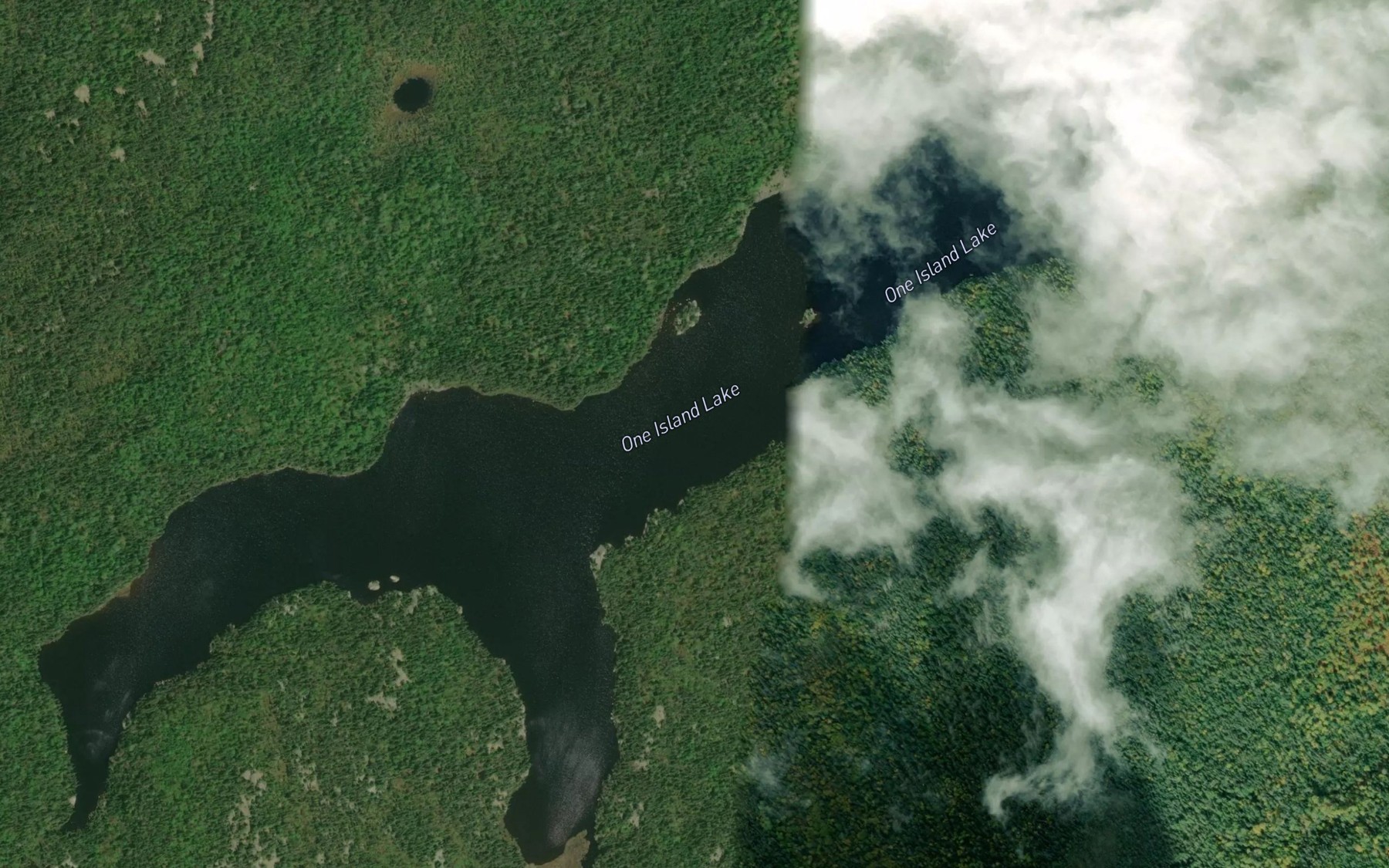 Satellite map of the One Island Lake